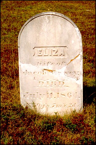 Headstone of Mrs. Eliza Seavey